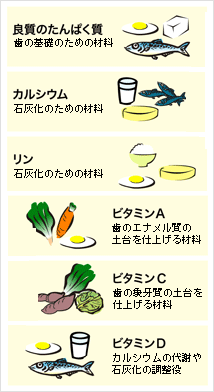 バランスの良い食事